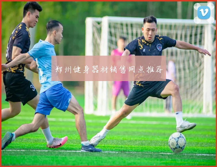 郑州健身器材销售网点推荐