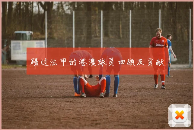 踢过法甲的港澳球员回顾及贡献
