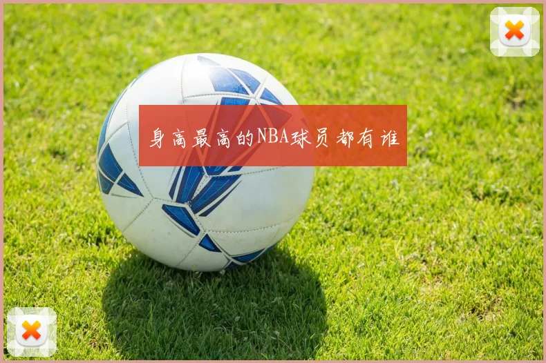 身高最高的NBA球员都有谁