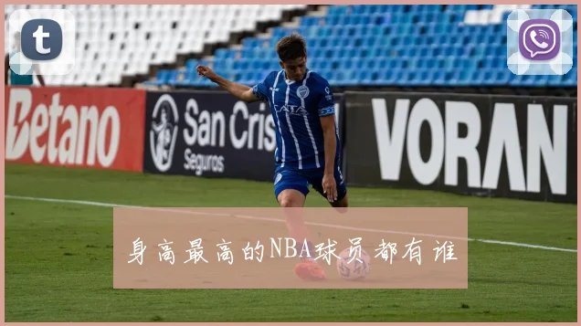 身高最高的NBA球员都有谁