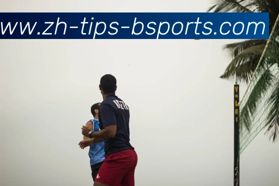 B体育APP 封面图